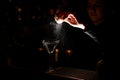 Professional female bartender sprinkling on a alcoholic drink in the cocktail glass with a orange zest juice