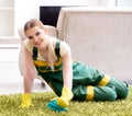 Professional female cleaner cleaning carpet Royalty Free Stock Photo