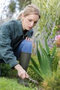 professional female gardener weeding using hand rake