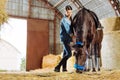 Professional female rider feeling good while visiting horse in stable Royalty Free Stock Photo