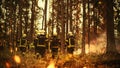 Professional Firefighters Crew Walking in Forest, Controlling a Wildland Fire Before it Becomes a