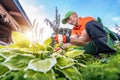 Professional Garden Worker Taking Care of Back Yard Garden Plants Royalty Free Stock Photo