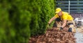 Professional Gardener Arranging the Garden Mulch in the Front Yard Royalty Free Stock Photo