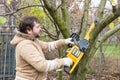 Professional gardener cuts branches on a tree, with using electric battery powered chain saw. Season pruning. Trimming trees with Royalty Free Stock Photo