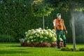 Professional Gardener in His 40s Insecticide Garden Plants Royalty Free Stock Photo