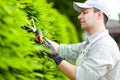 Professional gardener pruning an hedge Royalty Free Stock Photo