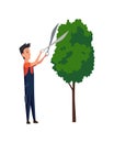 Professional gardener pruning tree with pruners or garden shears. Man working with shrubs in backyard. Colored flat