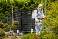 Professional Gardener Safely Spraying Pesticides on Garden Plants Royalty Free Stock Photo