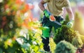 Professional Gardener Shaping Garden Plants Using Small Cordless Trimmer Royalty Free Stock Photo