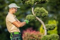 Professional Gardener Taking Care of His Plants Royalty Free Stock Photo