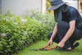 Professional Gardener Trimming Lawn In The Garden Royalty Free Stock Photo