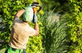 Professional Gardener Trimming Plants Back View