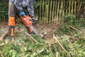 Professional gardener using chainsaw