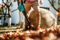 Professional gardener using heavy duty leaf blower in garden Royalty Free Stock Photo