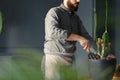 Professional gardener in work suit during job at orangery with cactus