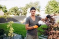 Professional Gardener at Work. Gardener Trimming Garden Plants. Topiary Art. Royalty Free Stock Photo