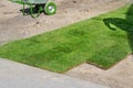 Professional gardener worker laying fresh artificially grown rolled lawn. Detail process of installation grass roll carpet at city Royalty Free Stock Photo