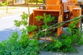 Professional gardeners are putting the branches of a trimmed tree in a wood chipper and pickup truck and maintenance in springtime