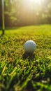 A Professional Golf Ball Hitting the Grass Close to the Hole Royalty Free Stock Photo