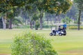Professional golf men ride electric car by woman caddies stand at back side into of a golf course with glittering