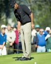 Tiger Woods misses a putt Royalty Free Stock Photo