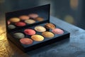 Assorted Makeup Foundation and Blush Palette Royalty Free Stock Photo