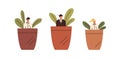 Professional growth and development concept. Employees grow in pots, metaphor for career start and skills developing