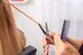 Professional hair stylist holding comb and hot thermal scissors cutting tips of long straight hair lock closeup. Royalty Free Stock Photo