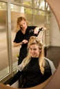 Professional hair stylist at work - hairdresser doing hairstyle Royalty Free Stock Photo