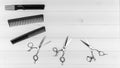 Groomer, barber and hairstyle website and print image of professional combs and scissors set. Royalty Free Stock Photo