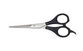 Professional Haircutting Scissors Royalty Free Stock Photo