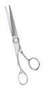 Professional Haircutting Scissors isolated Royalty Free Stock Photo