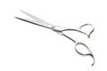 Professional haircutting scissors isolated, with clipping path.