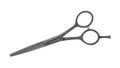 Professional Haircutting Scissors Isolated On White Background Royalty Free Stock Photo