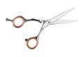 Professional haircutting scissors isolated on white background Royalty Free Stock Photo
