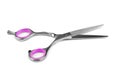 Professional haircutting scissors isolated on white background Royalty Free Stock Photo