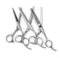 Professional Haircutting Scissors.