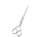 Professional Haircutting Scissors on white