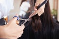 Professional hairdresser cutting woman`s hair in beauty salon, closeup Royalty Free Stock Photo