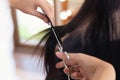 Professional hairdresser cutting woman`s hair in beauty salon, closeup Royalty Free Stock Photo