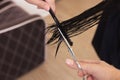 Professional hairdresser cutting woman`s hair in beauty salon, closeup Royalty Free Stock Photo