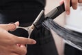 Professional hairdresser cutting woman`s hair in beauty salon, closeup Royalty Free Stock Photo