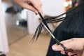 Professional hairdresser cutting woman`s hair in beauty salon, closeup Royalty Free Stock Photo