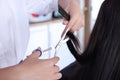 Professional hairdresser cutting woman`s hair in beauty salon, closeup Royalty Free Stock Photo