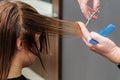 Professional hairdresser is cutting woman`s long hair tips in beauty salon. Royalty Free Stock Photo