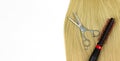 Professional hairdresser round hairbrush and scissors with strand of blonde hair on a white background. Series: professional