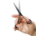 Professional hairdresser scissors