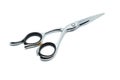 Professional hairdressing scissors isolated on white background Royalty Free Stock Photo