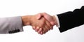 A professional handshake between businessmen isolated on a white background