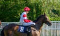 George Wood Horse racing jockey on Isolde Royalty Free Stock Photo